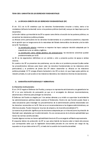 Tema-2-consti.pdf