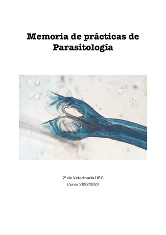 Memoria-de-practicas-202223.pdf