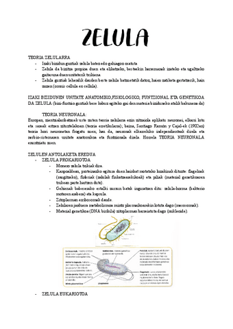 ZELULA.pdf