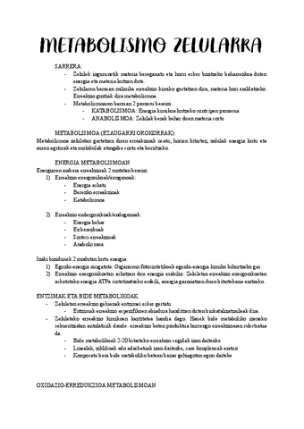 METABOLISMO-ZELULARRA.pdf