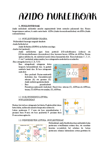 NUKLEOTIDOAK-ETA-AZIDO-NUKLEIKOAK.pdf