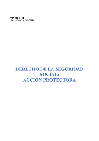 Derecho-de-la-Seguridad-Social-II.pdf