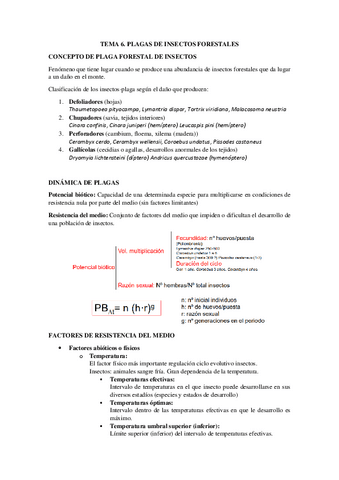 TEMA-6-bosques.pdf