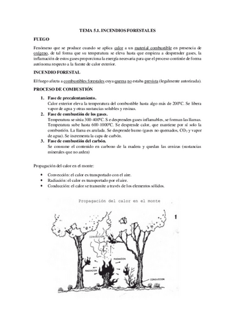 TEMA-5-bosques.pdf