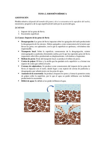 Tema-2-suelos.pdf
