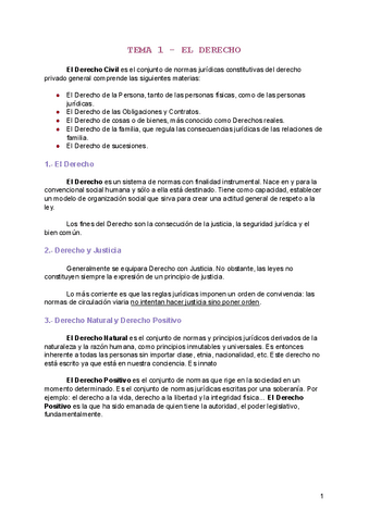 DERECHO-CIVIL-TEMA-1.pdf