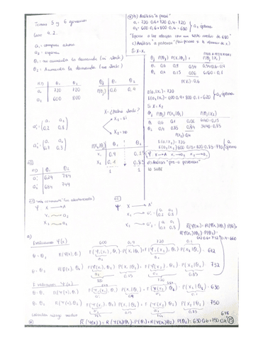 tema-5-y-6.pdf
