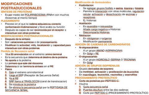 MODIFICACIONES-POSTRADUCCIONALES.pdf