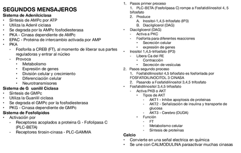 Segundos-Mensajeros.pdf
