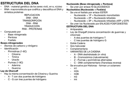 Estructura-DNA-Y-RNA.pdf