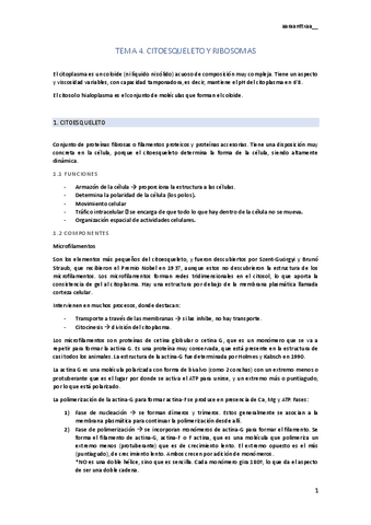 tema-4.pdf
