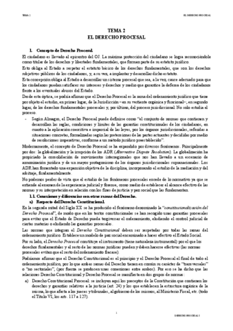 DERECHO-PROCESAL-I-TEMA-2.pdf