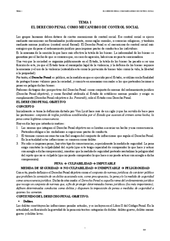 IDP-TEMA-1.pdf