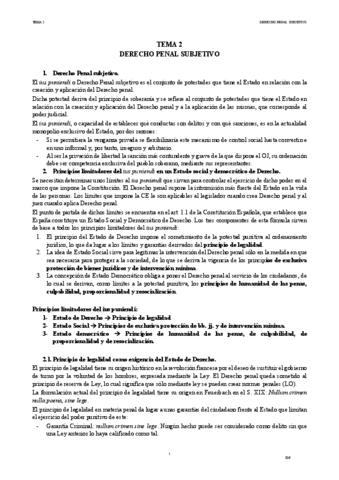 IDP-TEMA-2.pdf
