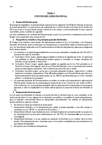 IDP-TEMA-5.pdf