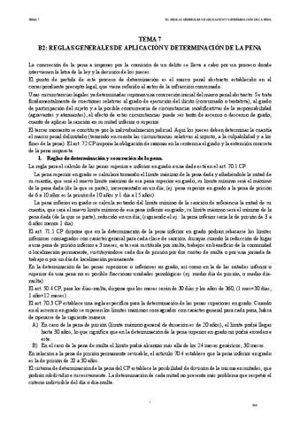 IDP-TEMA-7-B2.pdf