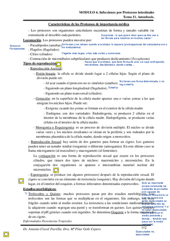Tema-11.pdf