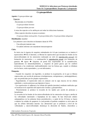 Tema-14.pdf