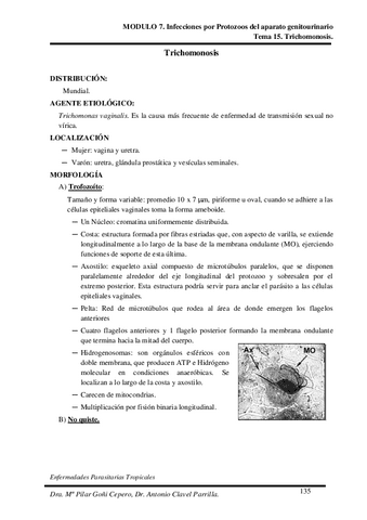 Tema-15.pdf