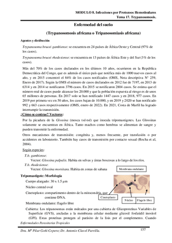 Tema-17.pdf