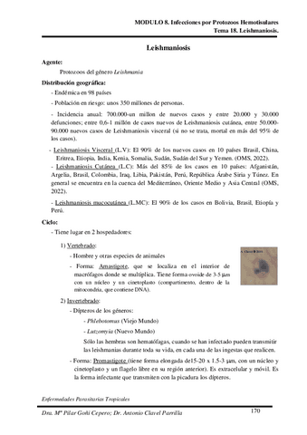 Tema-18.pdf