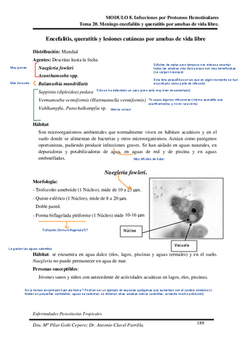 Tema-20.pdf
