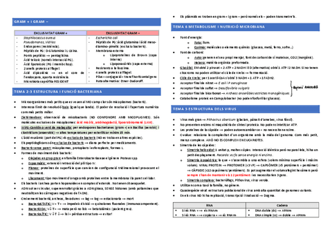 Conceptes-importants.pdf