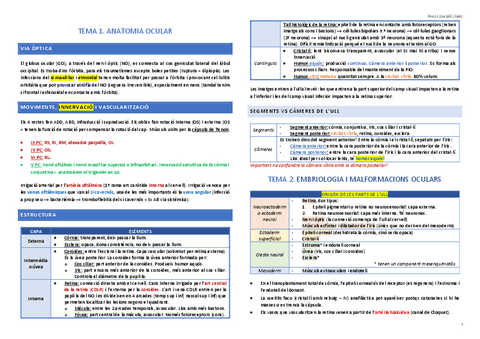 Resum-oftalmo.pdf