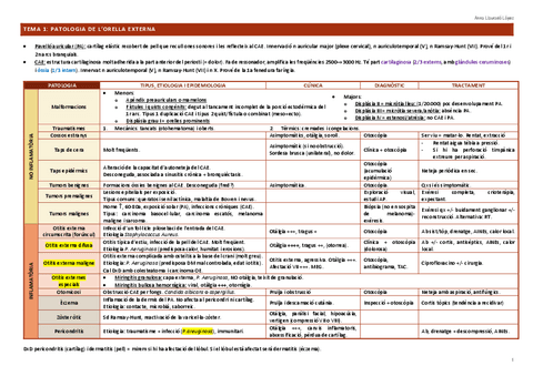 Resum-ORL.pdf