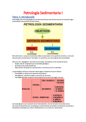 Apuntes-Petrologia-Sedimentaria-I.pdf