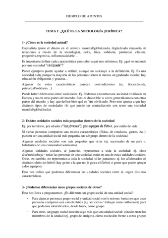 EJEMPLO-DE-APUNTES-DE-LA-ASIGNATURA.pdf