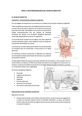 TEMA-2.pdf