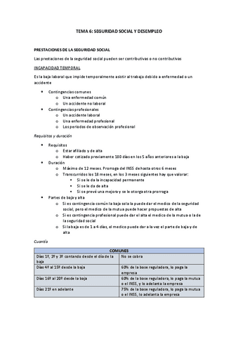 TEMA-6.pdf