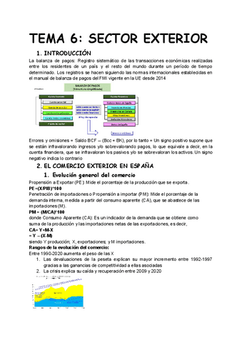 TEMA-6-SECTOR-EXTERIOR.pdf