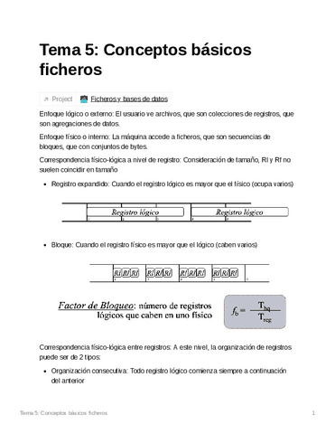 Tema-5-Conceptos-basicos-ficheros-8508dc6e47a8498695a508daf1b9b36c.pdf