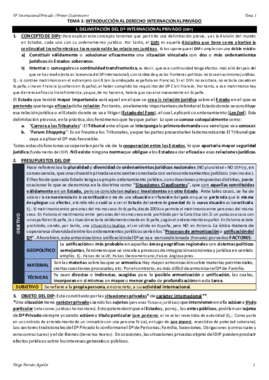 TEMA 1 INTERNACIONAL PRIVADO.pdf