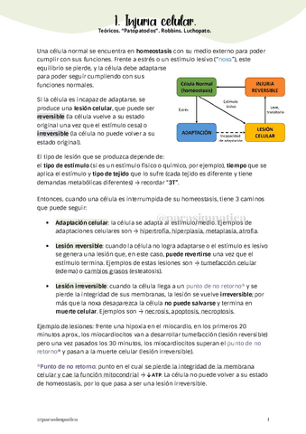 1-Injuria-celular-reversible-e-irreversible.pdf