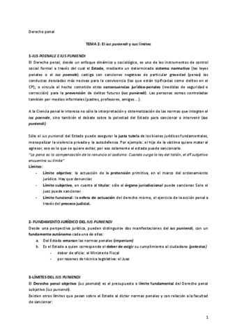Tema-2-penal.pdf