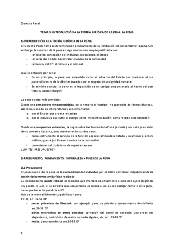Tema-9-penal.pdf