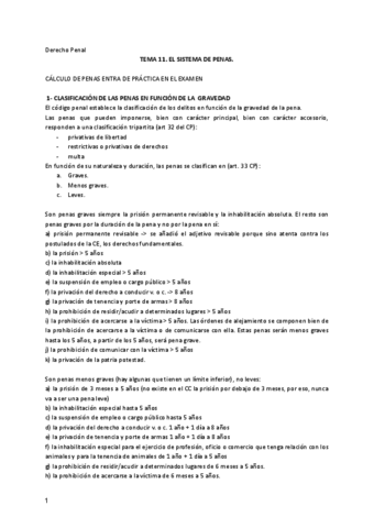 Tema-11-penal.pdf