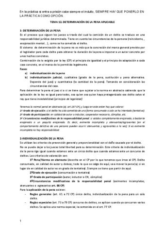 Tema-12-penal.pdf