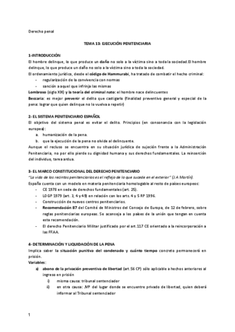 Tema-13-penal.pdf
