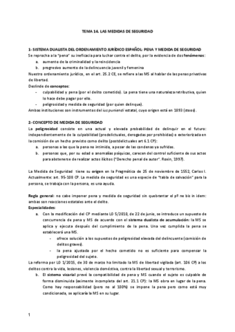 Tema-14-penal.pdf