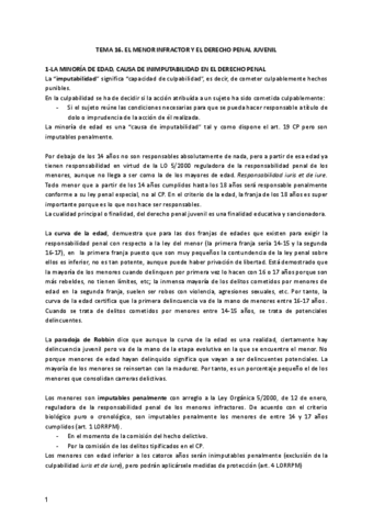 Tema-16-penal.pdf