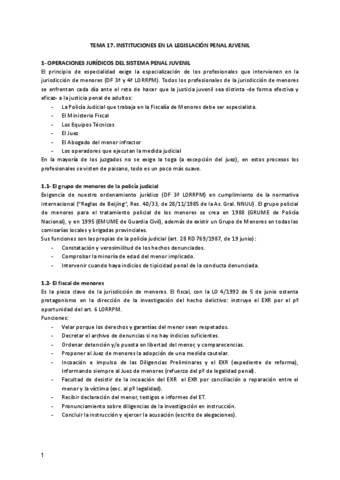 Tema-17-penal.pdf