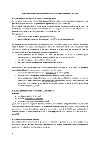Tema-18-penal.pdf
