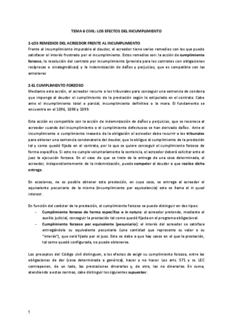 TEMA-6-CIVIL.pdf