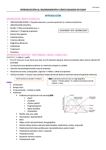 TEMA-1-OPTATIVA.pdf