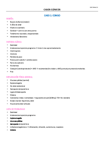 TEMA-2.1-OPTATIVA.pdf