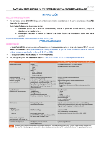 TEMA-4-OPTATIVA.pdf